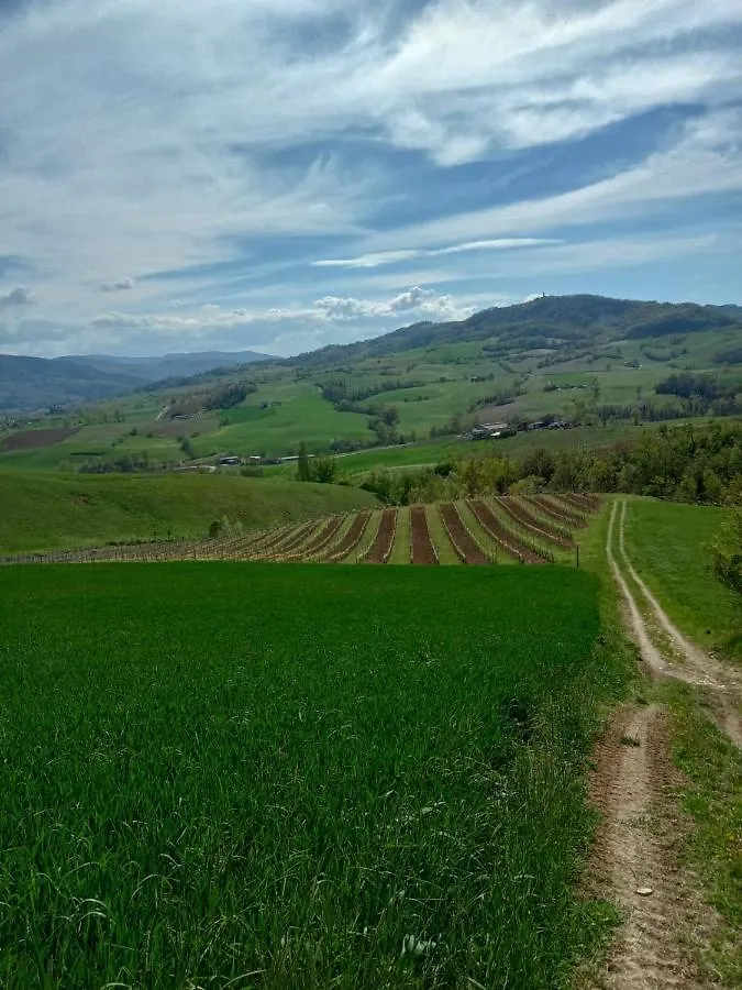 Country house Morelli House Guest House Montalbo